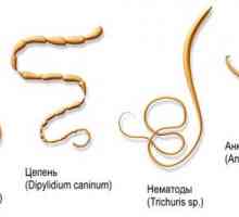 Jaké jsou příznaky a jak se k léčbě střevních červů u dětí?