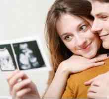 Rozluštění ultrazvuk v prvním trimestru těhotenství: norma a patologie plodu