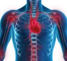 Revmatická horečka a revmatická choroba srdeční: symptomy, srdeční projevy, diagnostika, léčba,…