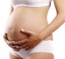 Role děložního hrdla během těhotenství