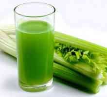 Celer. Užitečné vlastnosti a kontraindikace