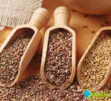 Lněná semena pro žaludek: výhody a kontraindikace