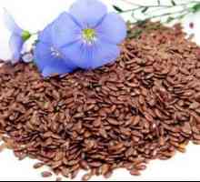 Lněné semeno: odvar, který léčí tělo
