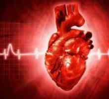Srdeční cyklus