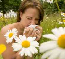Sezónní alergie. Příčiny, příznaky a léčba