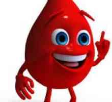 Kolik krve v lidském těle, a co to záleží?