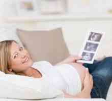 Kolikrát může dělat ultrazvuk v těhotenství? Účel a dešifrování