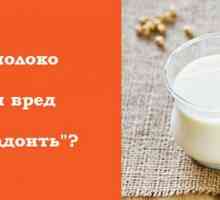Sójové mléko: Výhody a poškozuje o „dojení“ sojových bobů