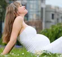 Lék na alergii pro těhotné ženy
