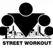 Street workout - módní hobby nebo zdravý životní styl?
