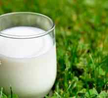 To, co potřebujete vědět o den absolutoria na mléko?
