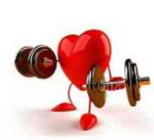 Vlastnosti srdečního svalu a jeho chorob