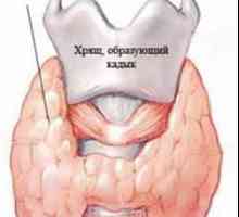 Tabulka štítná žláza normální rozmezí u žen