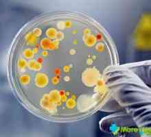 Jak je znázorněno Staphylococcus aureus: jaké jsou příznaky?
