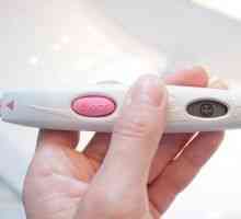Těhotenský test s definicí pojmu: typy, popis a funkce použití
