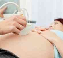Důvody pro zvyšování a snižování hladin ALT a AST během těhotenství