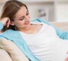Toxoplazmóza v těhotenství