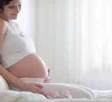 Ureaplasma v těhotenství: důsledky pro dítě, a jak se jim vyhnout