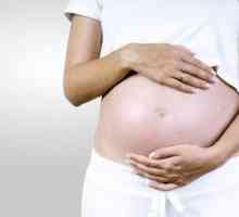 Ureaplasma urealitikum během těhotenství