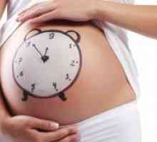 Hladiny HCG během těhotenství přes den: pravidlem a odchylky od normy