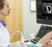 Prsu ultrazvukem - jak často můžete udělat a možné výsledky průzkumu