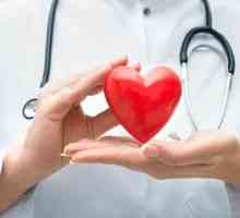 Ultrazvuk srdce - Transcript: norma a patologie