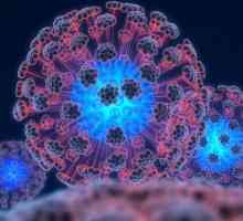 Lidský papilomavirus: léčba a prevence