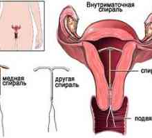 Vliv námořnictva na menstruace u žen 18