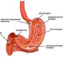 Symptomy a léčbu gastritidy smíšené