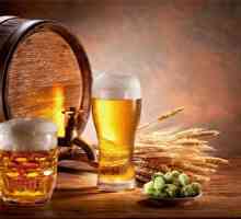 Harm a výhody pivních produktů pro mužského těla