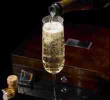 Všechna tajemství vaření domácího šampaňského angreštu