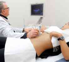 Závěr Břišní ultrazvuk - norma a patologie