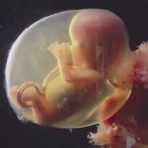 16 Týdnů těhotenství - Placenta je tvořena primární