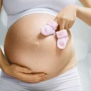 34 Týdnu těhotenství: plodové pohyby, vývoj a vyšetření matky