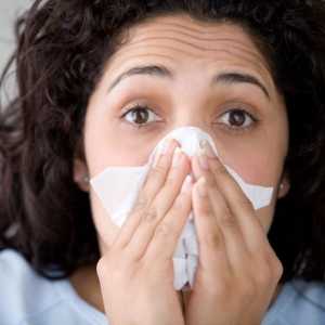 Alergie na koření - běžný problém