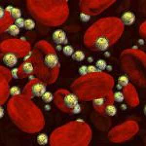 Co je krevní lipidogram a jak se hodnotí výkonnost této analýzy