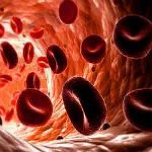 Hlavními důvody pro nízké hladiny hemoglobinu v krvi