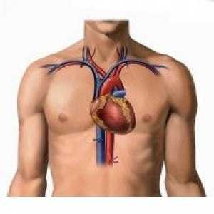Aortální ateroskleróza a srdeční cévy (koronárních): původu, k léčbě