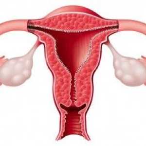 Atrézie děložního čípku u žen po menopauze