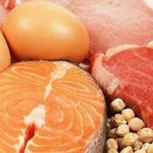 Protein v potravinách, role bílkovin v těle