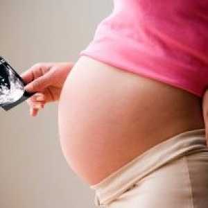 Ultrazvuk srdce během těhotenství: Charakteristika a indikace k vyšetření