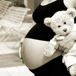 Těhotenství: Pregnant juvenilní
