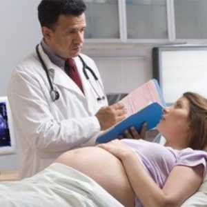 Těhotenství: vývoj těhotenství