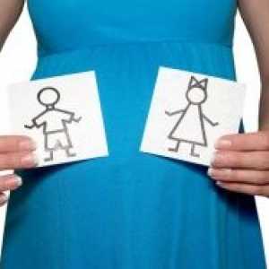 Těhotné na poznámka: co týden je možné znát pohlaví dítěte