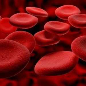 V červených krvinkách zvýšené: příčiny, důsledky a prevenci