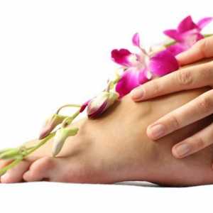 Bradavice na nohou: léčba a prevence