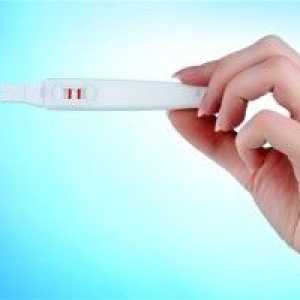 Těhotenský test a měsíční