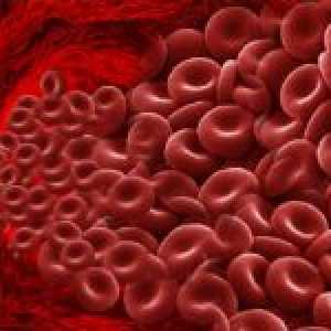 Které mohou být použity ke zvýšení hemoglobinu v krvi