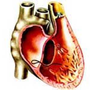 Příčiny a léčba levé komory srdeční selhání