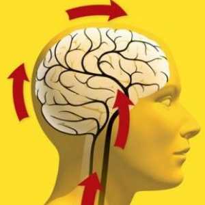 Co je mozková oběhový encefalopatie? Co způsobuje nemoc?